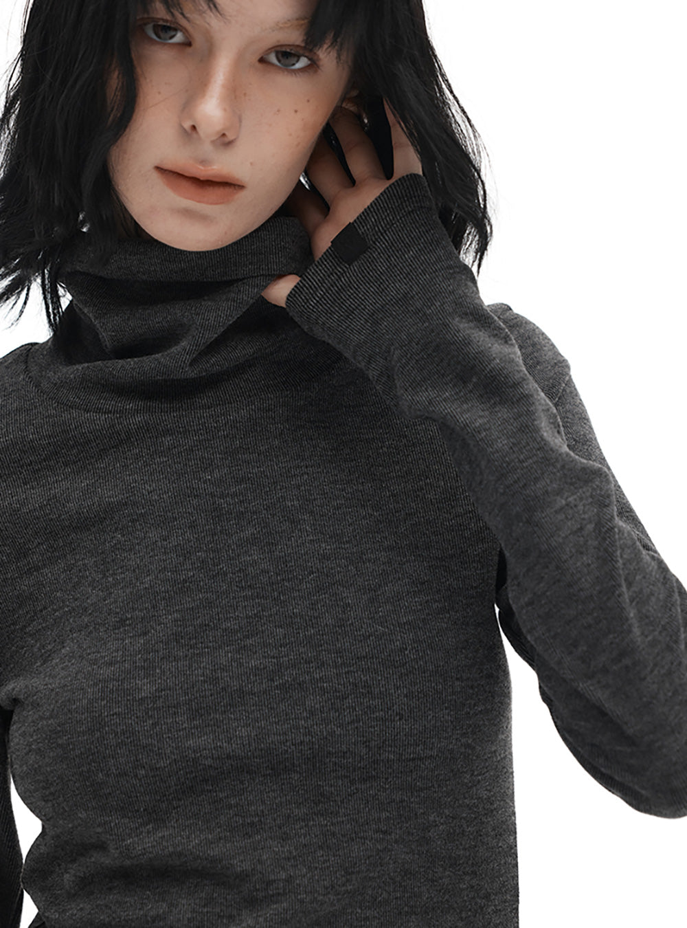 Fitted Turtleneck Knit Top (2color)