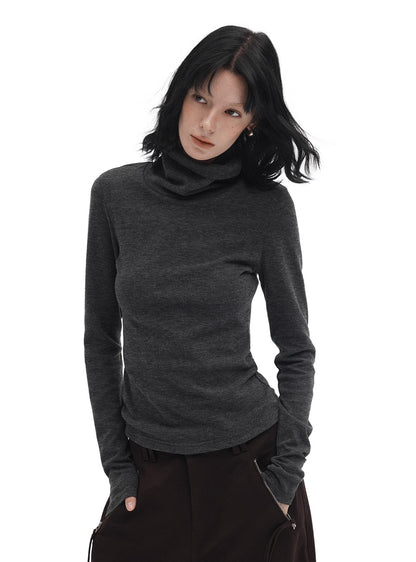 Fitted Turtleneck Knit Top (2color)